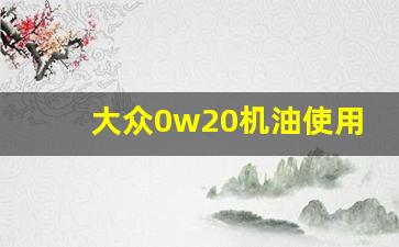 大众0w20机油使用注意事项