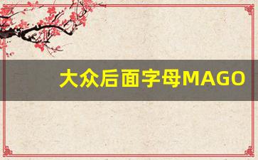 大众后面字母MAGOTAN,大众车带字母magotan多少钱