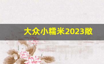 大众小糯米2023敞篷款报价,敞篷小糯米价格