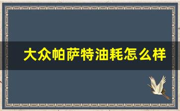 大众帕萨特油耗怎么样,帕萨特开出去有面子吗