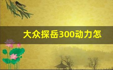 大众探岳300动力怎么样