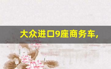 大众进口9座商务车,进口依维柯9座商务车报价