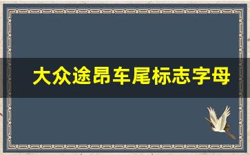 大众途昂车尾标志字母