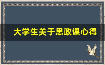 大学生关于思政课心得体会300字