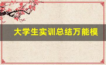 大学生实训总结万能模板