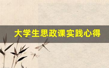 大学生思政课实践心得,思政实践报告1500字大学篇