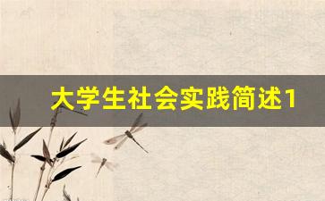 大学生社会实践简述100字,大学生社会实践活动总结