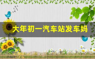 大年初一汽车站发车妈妈