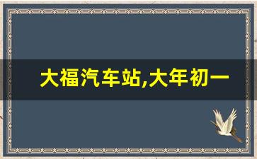 大福汽车站,大年初一汽车站发车妈妈