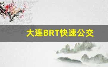 大连BRT快速公交