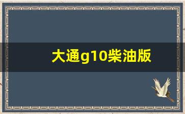 大通g10柴油版