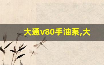 大通v80手油泵,大通g50汽油泵怎么拆