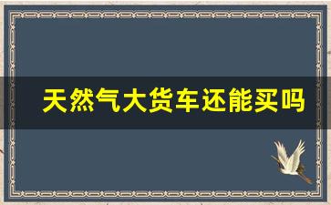 天然气大货车还能买吗,2024年大货车还好干吗