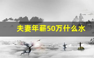 夫妻年薪50万什么水平,年入40万属于什么阶层