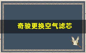 奇骏更换空气滤芯