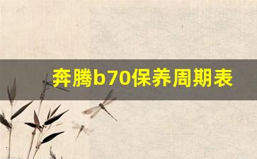 奔腾b70保养周期表,奔腾b70保养手册电子版