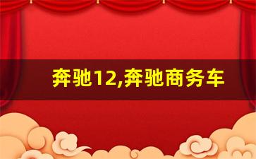 奔驰12,奔驰商务车12座价格