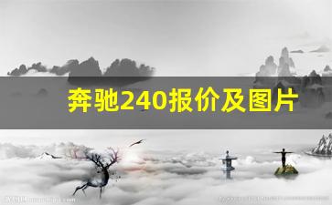 奔驰240报价及图片,奔驰E240值得收藏吗