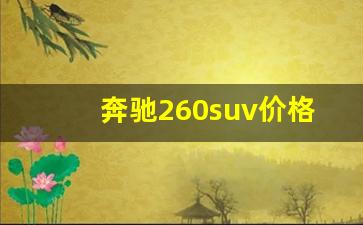 奔驰260suv价格及图片