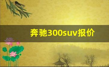 奔驰300suv报价