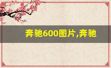 奔驰600图片,奔驰12