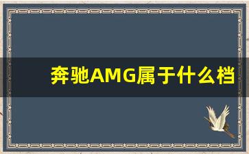 奔驰AMG属于什么档次,amg所有车型价目表