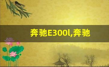 奔驰E300l,奔驰e300月薪多少养得起