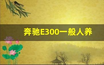 奔驰E300一般人养得起吗,30万买奔驰还是奥迪