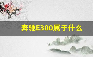 奔驰E300属于什么档次,开奔驰E算什么家庭