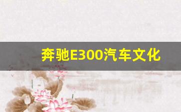 奔驰E300汽车文化概括