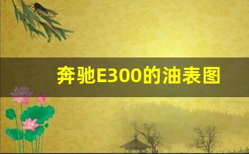 奔驰E300的油表图片