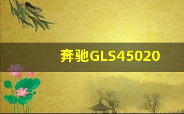 奔驰GLS4502020款,新款奔驰gls600价格