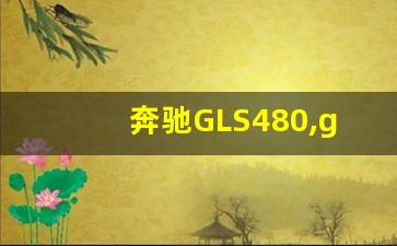 奔驰GLS480,gls450是叫做迈巴赫吗