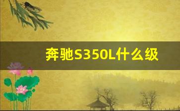 奔驰S350L什么级别,奔驰s350属于哪个级别的车