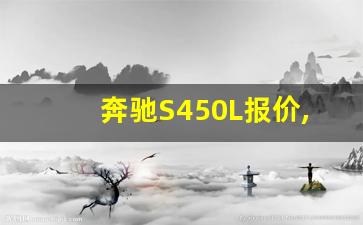 奔驰S450L报价,奔驰450l车型图及报价