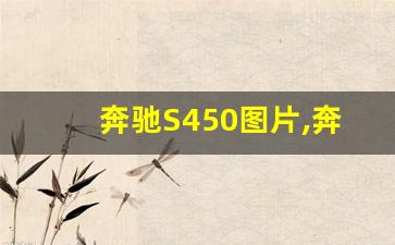 奔驰S450图片,奔驰s450是什么意思