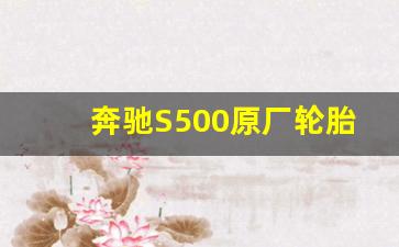 奔驰S500原厂轮胎,s500轮毂尺寸