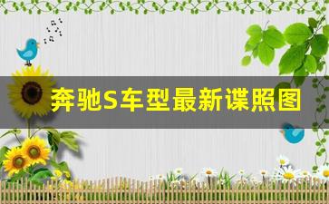 奔驰S车型最新谍照图片,奔驰s级所有车型图片