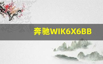 奔驰WIK6X6BB价格