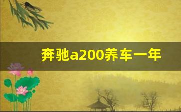 奔驰a200养车一年费用,奔驰a200保险一年多少钱