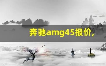 奔驰amg45报价,奔驰AMG越野车