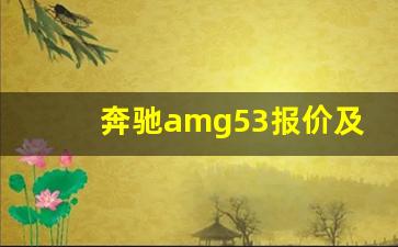 奔驰amg53报价及图片,奔驰AMG属于什么档次