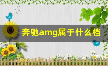 奔驰amg属于什么档次