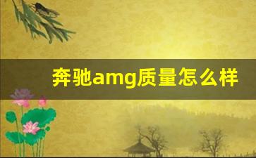 奔驰amg质量怎么样,amg高性能排气系统区别