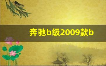 奔驰b级2009款b200时尚型,09款奔驰b200参数配置