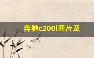 奔驰c200l图片及报价,奔驰200l轿车报价