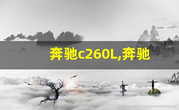 奔驰c260L,奔驰c260算什么档次