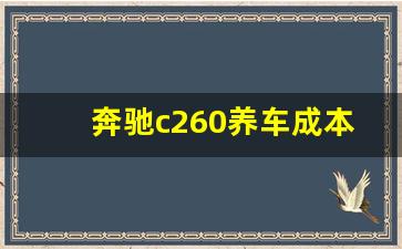 奔驰c260养车成本高吗