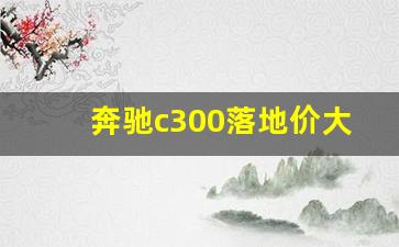 奔驰c300落地价大概多少