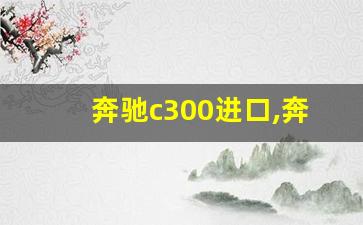 奔驰c300进口,奔驰c300越野车报价及图片